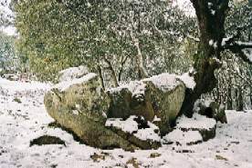 Well - Ortobene Mount