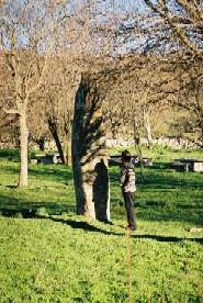 Menhir - Sa Itria - Gavoi